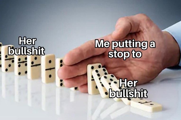 a meme of dominoes falling and in the middle, there is a hand catching it to stop it mid motion, on each side of the hand over the dominoes it says her bullshit, and in the middle of the two side that say her bullshit is the hand and it says me putting a stop to. So, in all, it's a visual representation of me putting a stop to her bullshit.