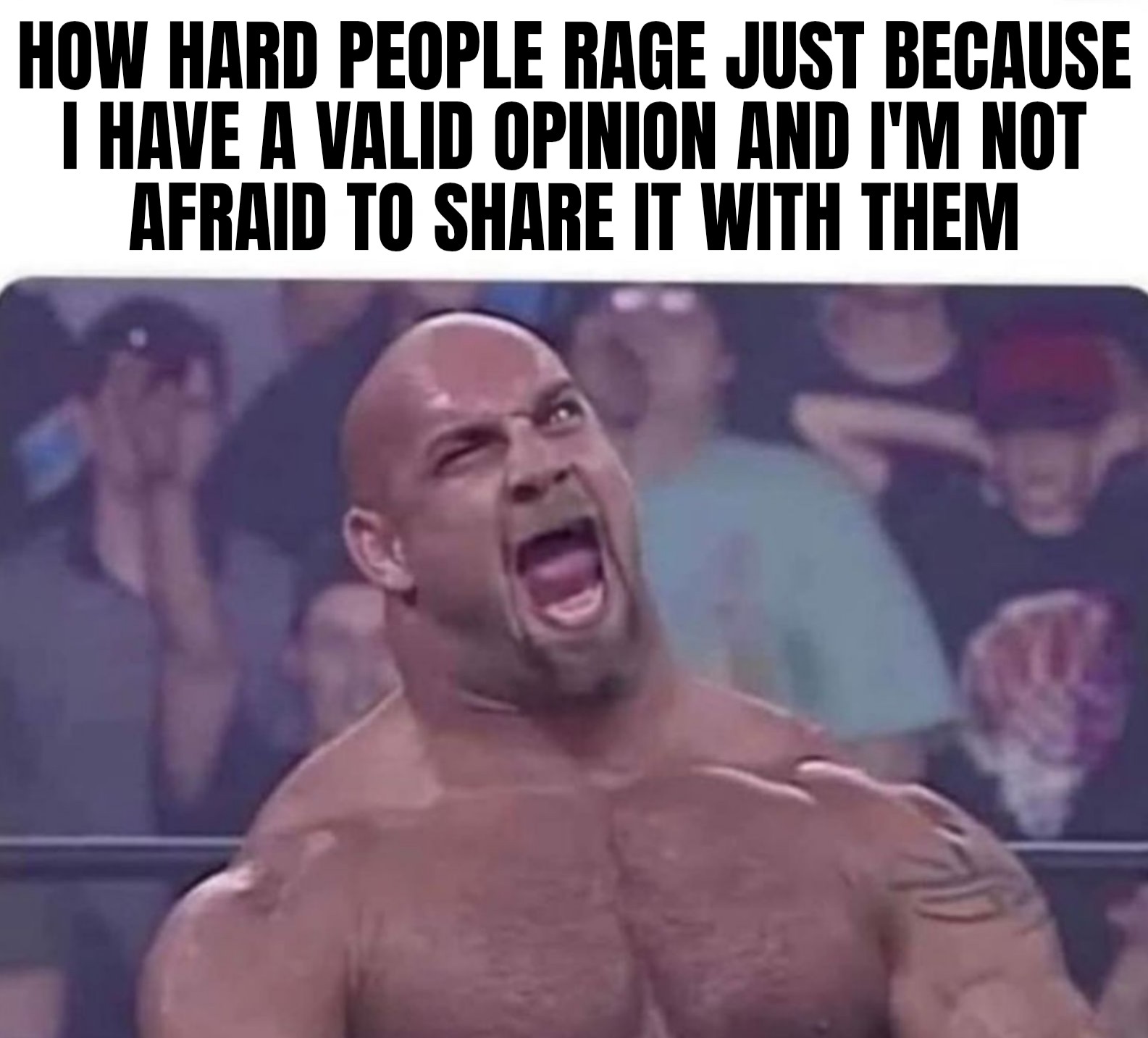 a meme of goldberg yelling excruciatingly in a very wild manner. And the meme says, how hard people rage just because I have a valid opinion and I'm not afraid to share it with them.