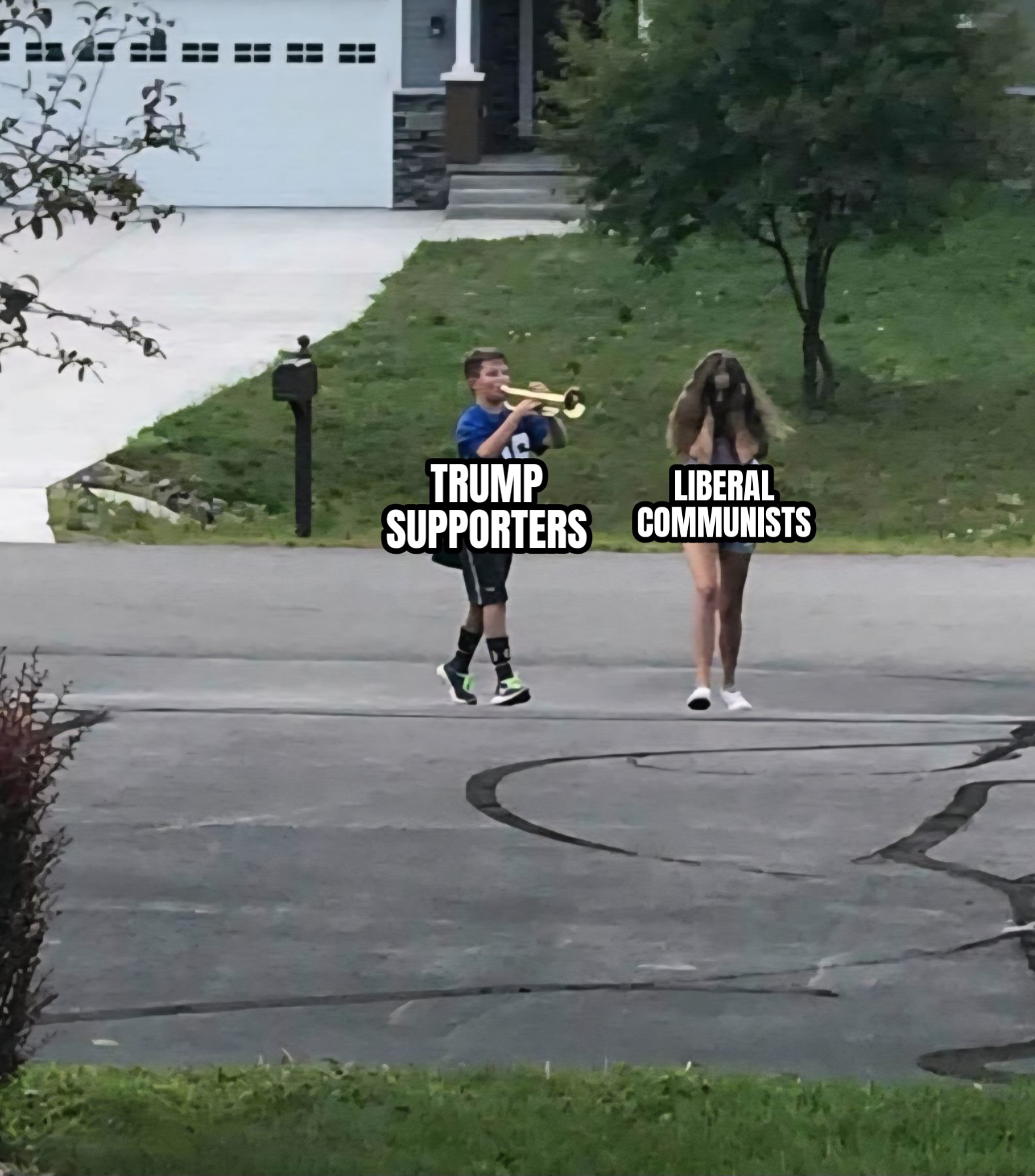 A meme of a kid playing a trumpet full blast at his sister who is covering her ears with her heands as they walk home down the street, and over the boy, it says trump supporters, and over her it says liberal democrats.
